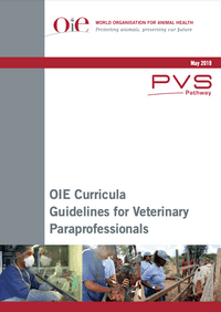 VPP Curricula Guidelinesthumbnail image